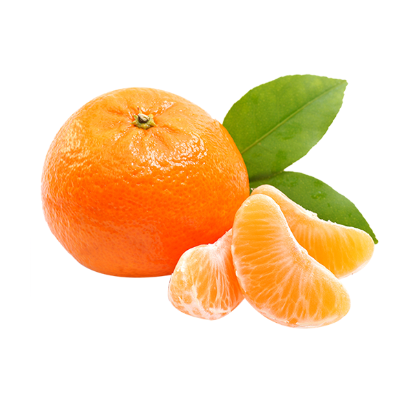 Mandarin Orange PNG Free Download