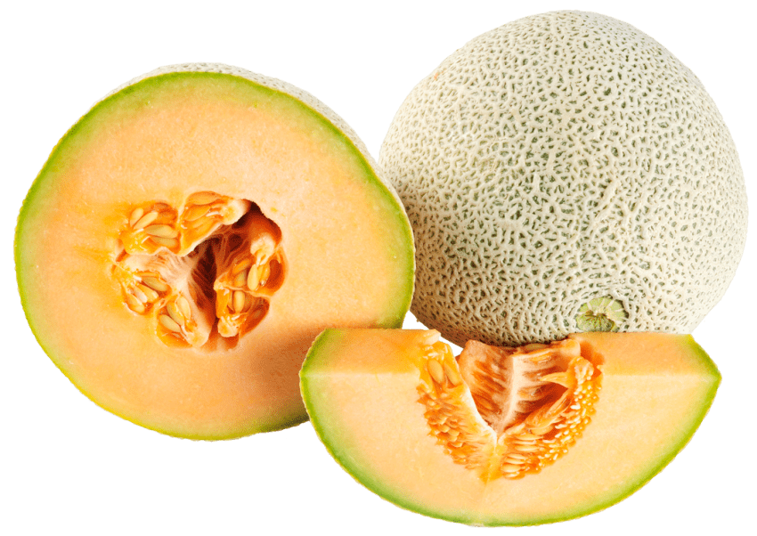 Melon Free PNG Image