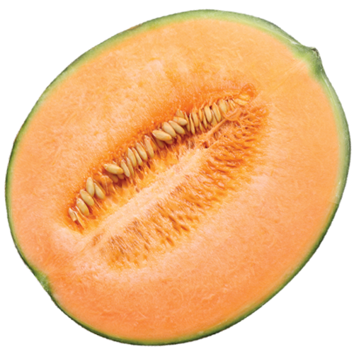 Melon PNG Picture