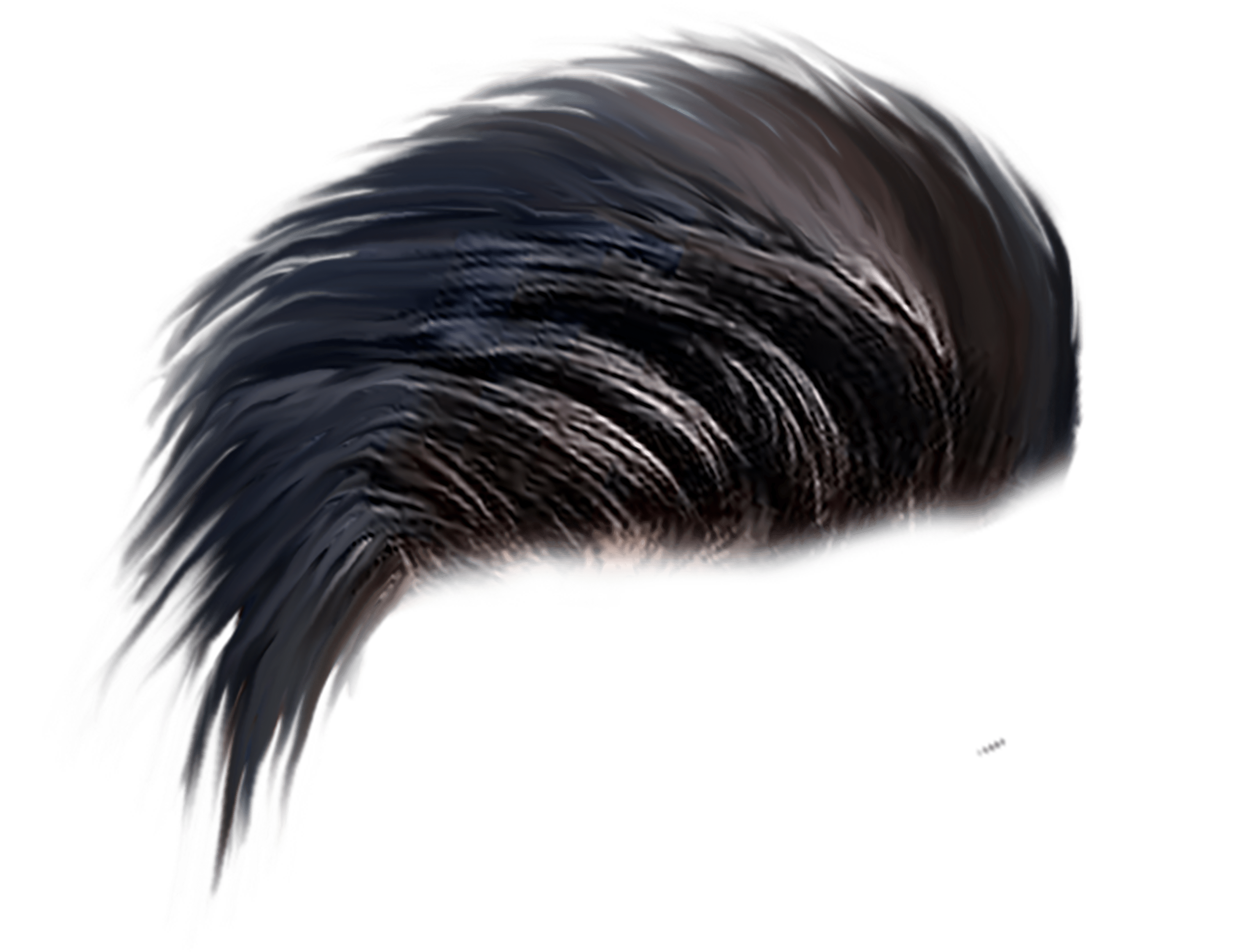 Men Hair PNG Picture