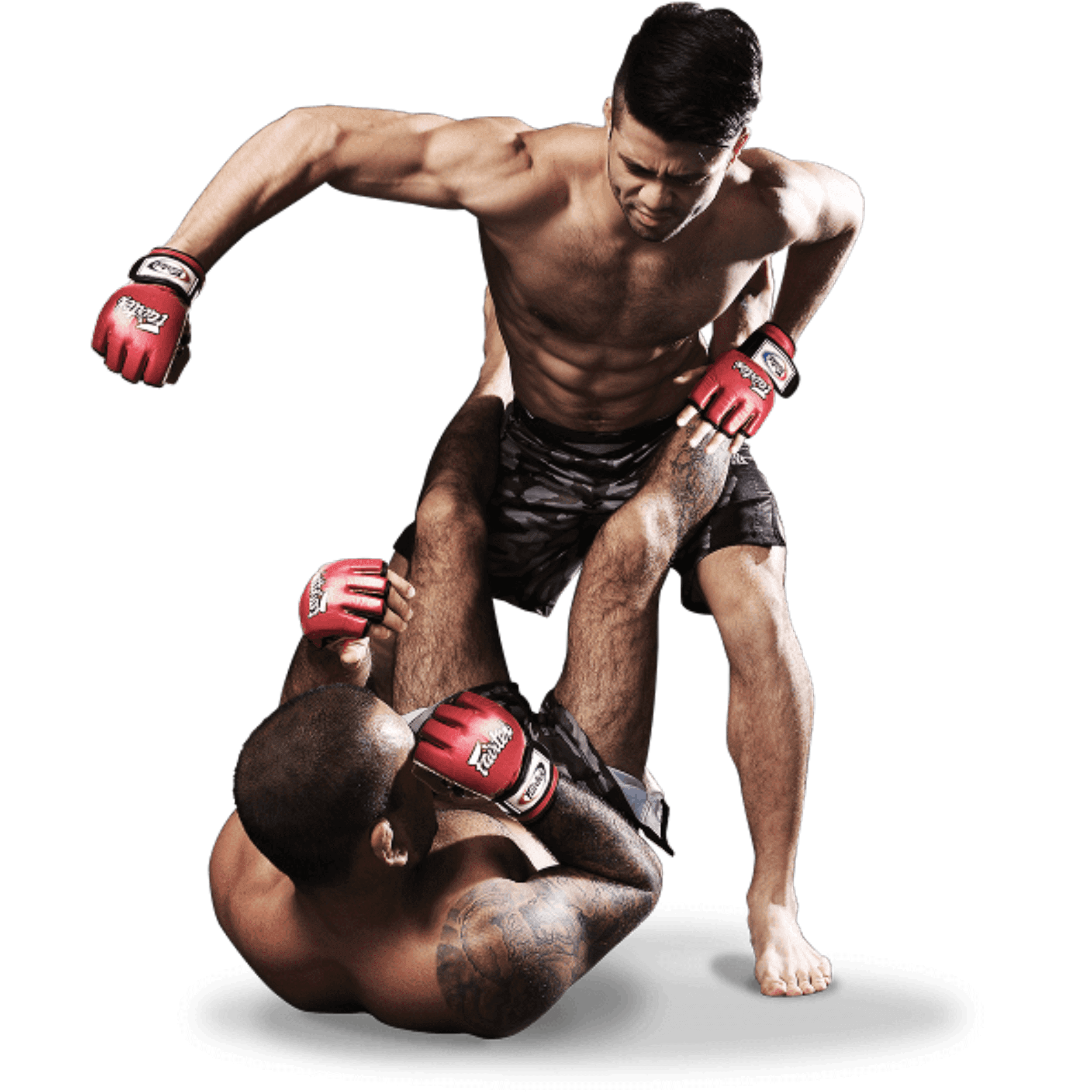 Mixed Martial Arts Fight Free PNG Image