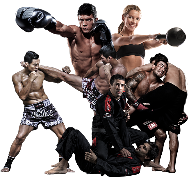 Artes marciales mixtas luchan PNG imagen de alta calidad