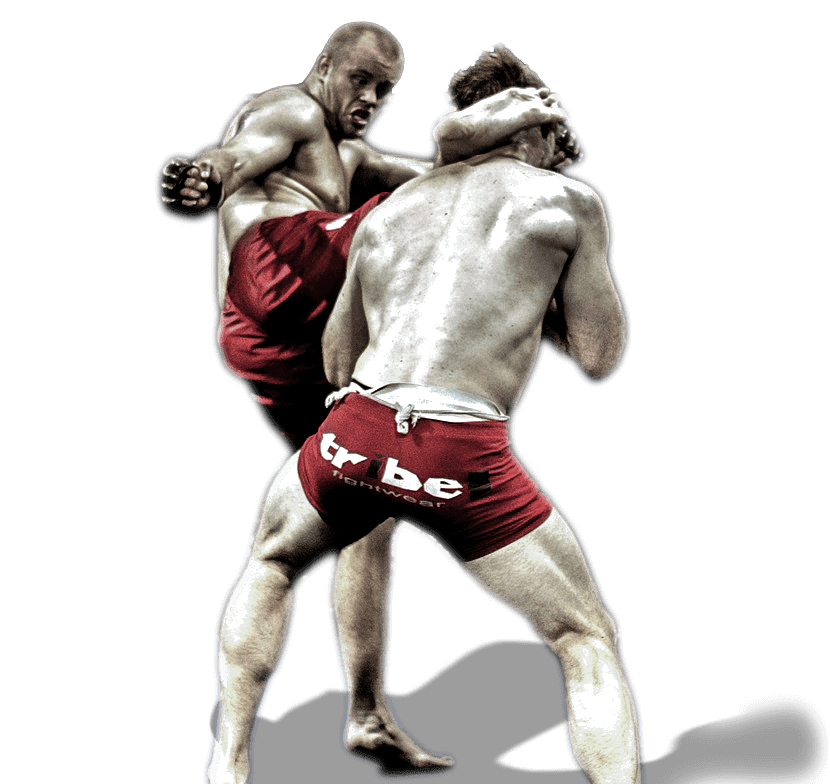 Mixed Martial Arts Fight PNG Image