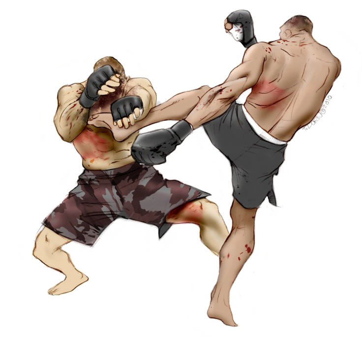Mixed Martial Arts Fight PNG Transparent Image
