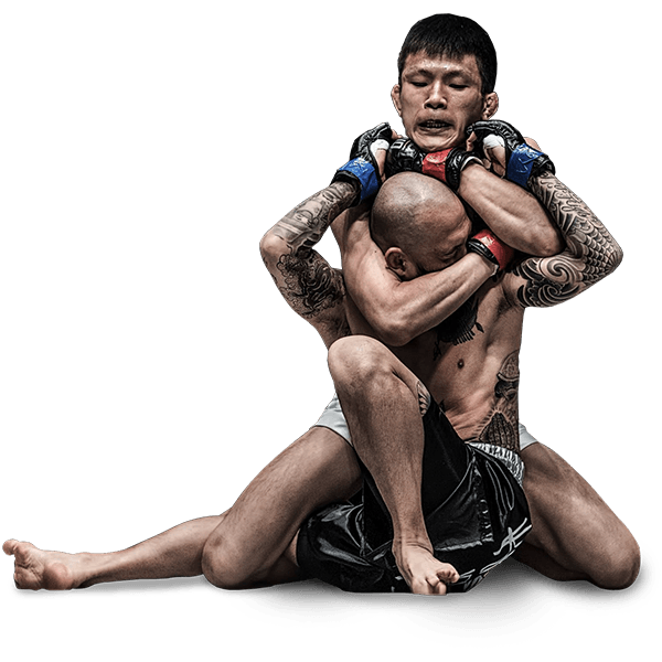 Mixed Martial Arts Fight Transparent Image