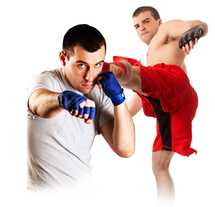 Mixed Martial Arts PNG High-Quality Image
