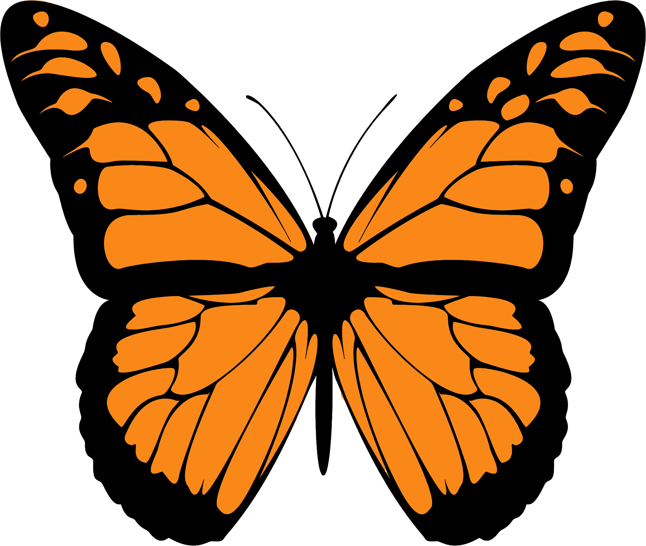 Imagen de alta calidad de la mariposa monarca PNG