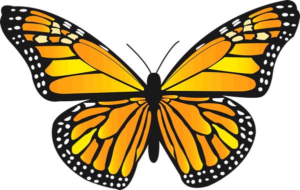 Immagine PNG a farfalla monarca