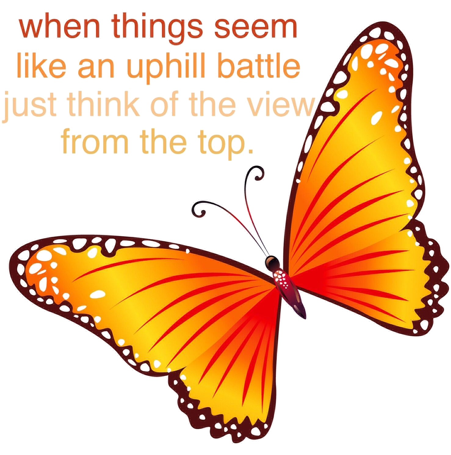 Mariposa monarca PNG imagen Transparente