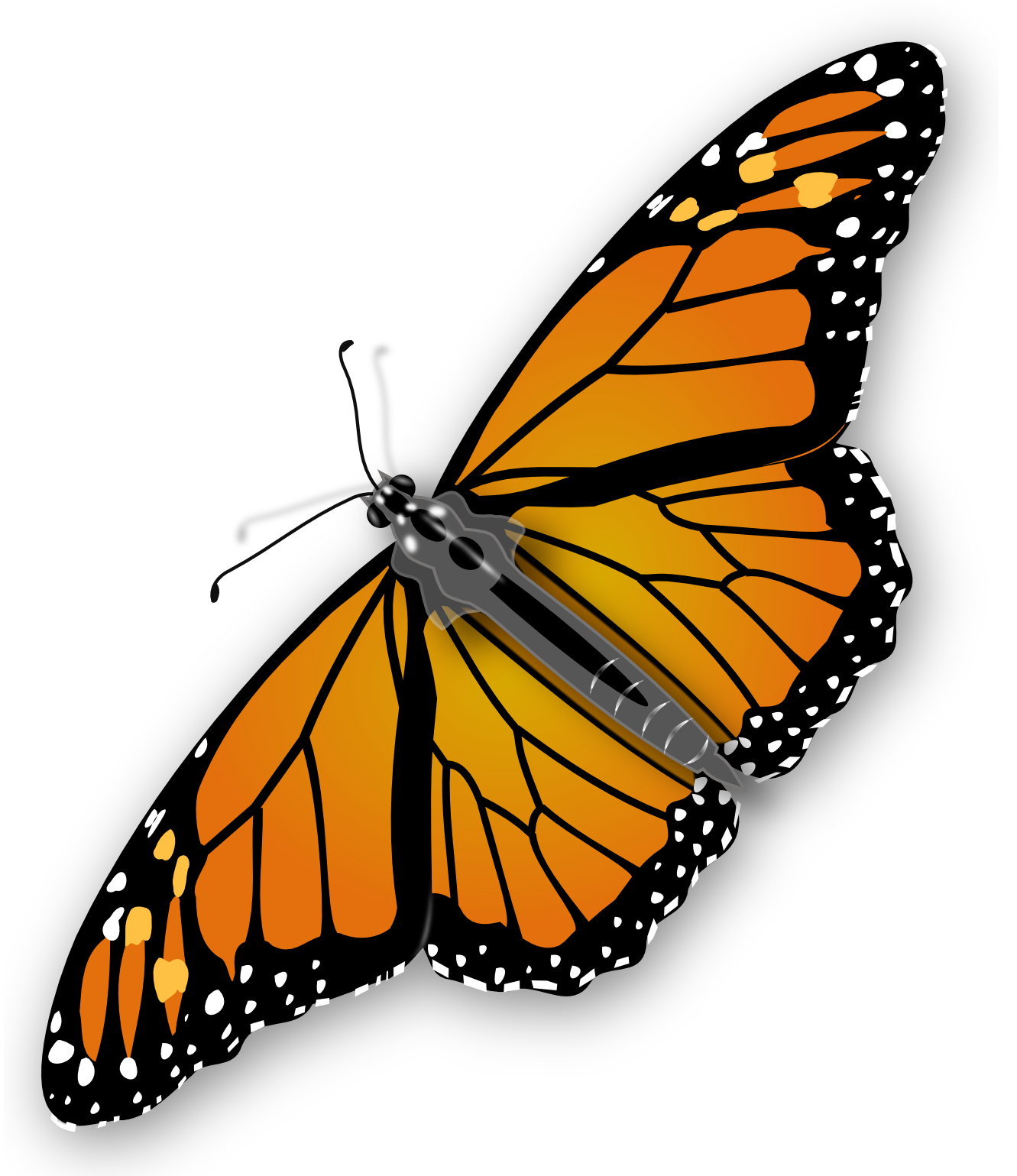 Monarch Vlinder Transparant Beeld