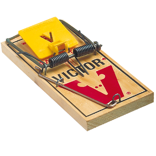 Mouse Trap PNG Image Background