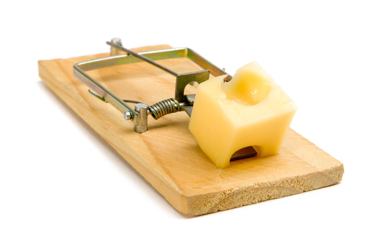 Mouse Trap PNG Pic