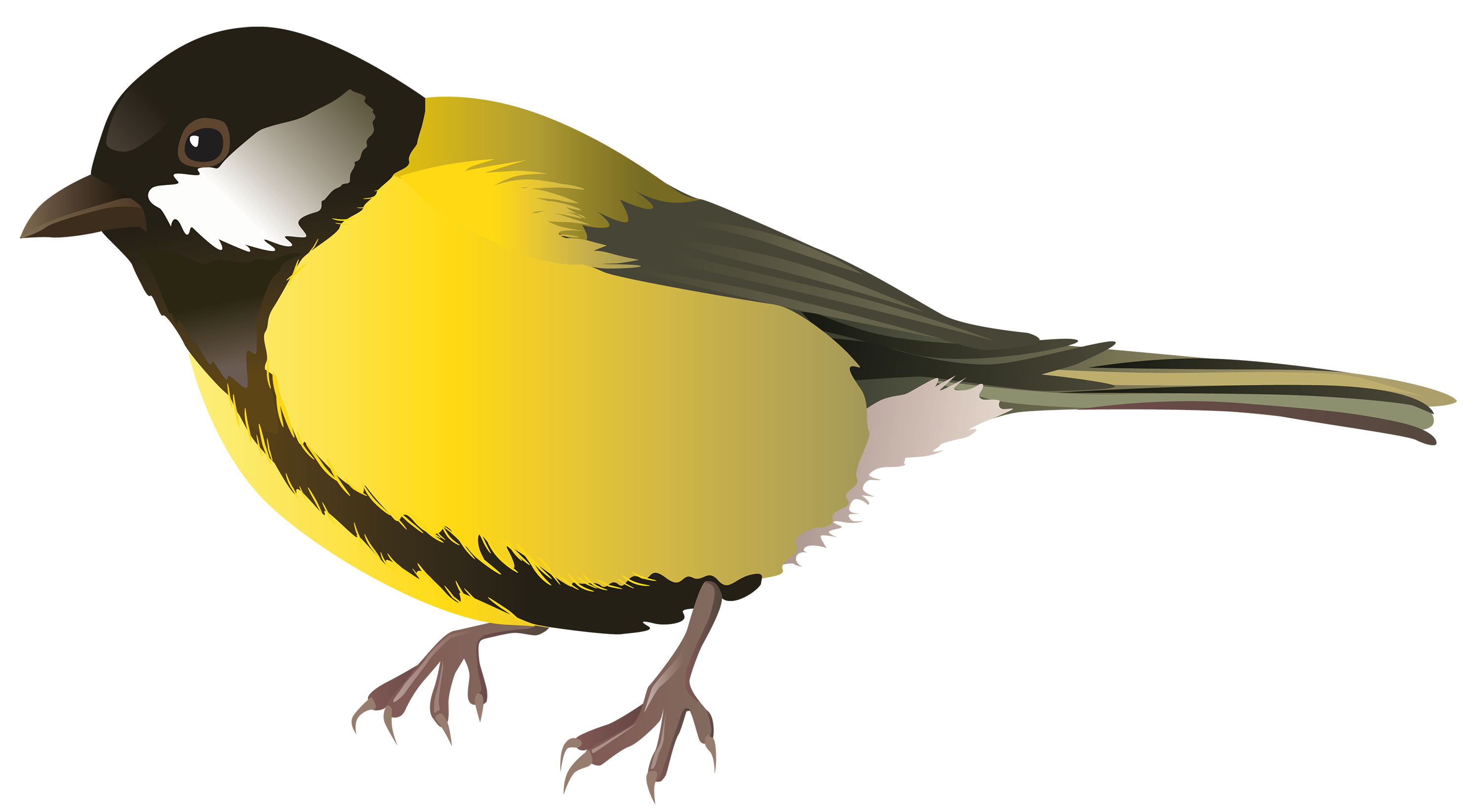 Multicolored Bird Free PNG-Afbeelding
