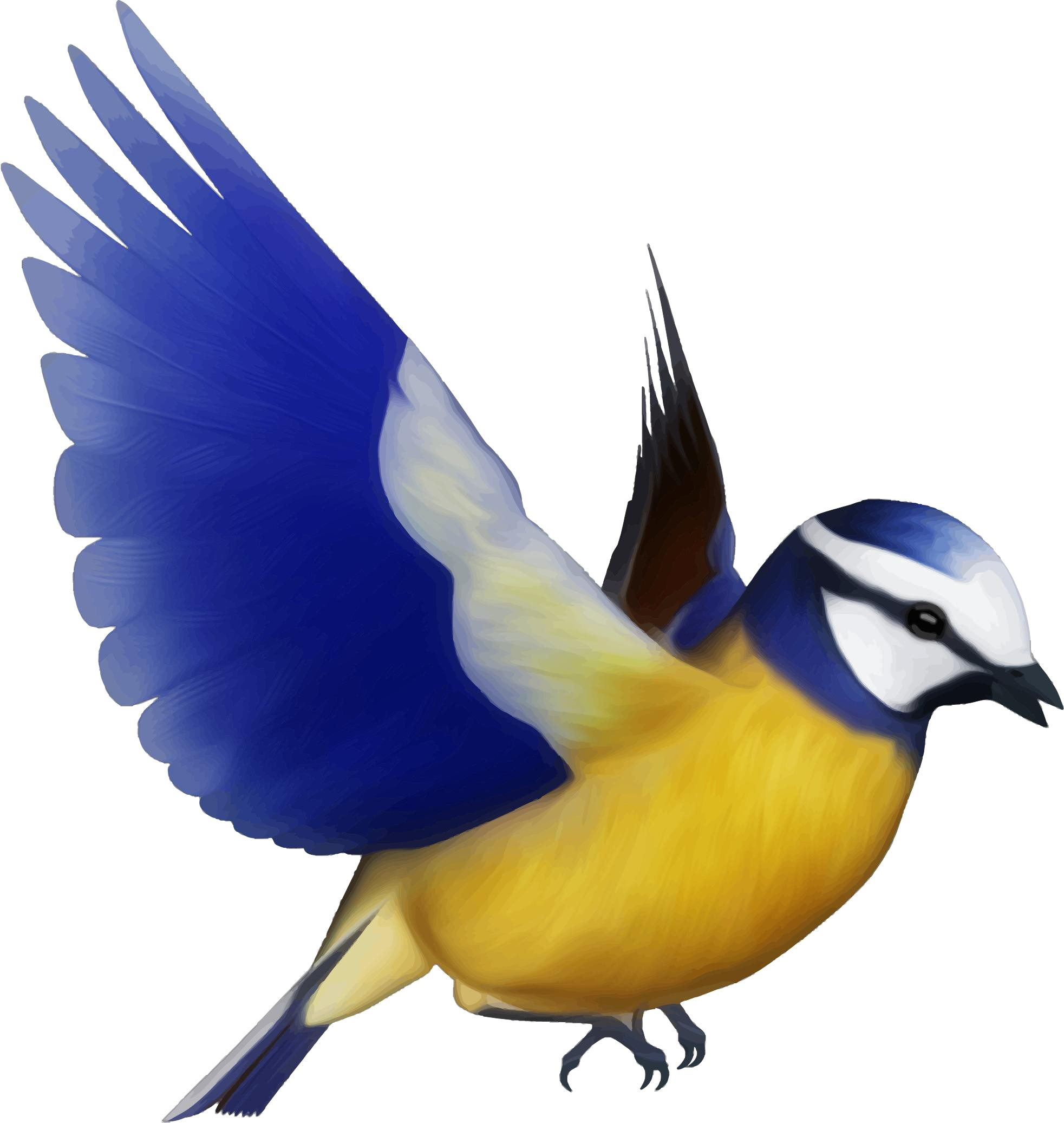 Descarga gratuita de PNG de pájaro multicolor