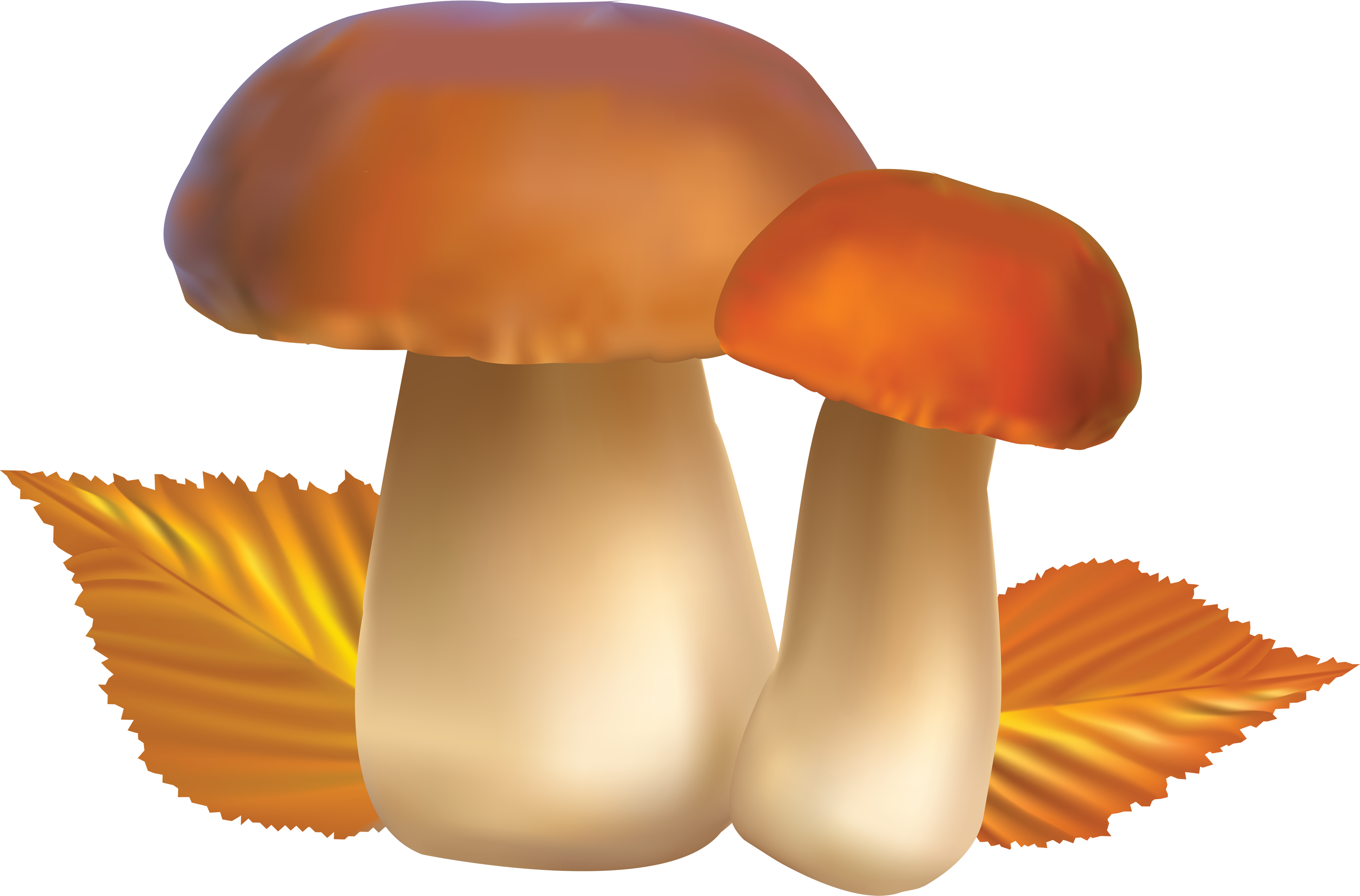 Mushroom PNG Pic