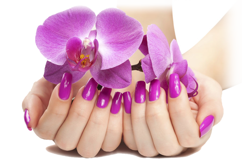 Ongles images Transparentes