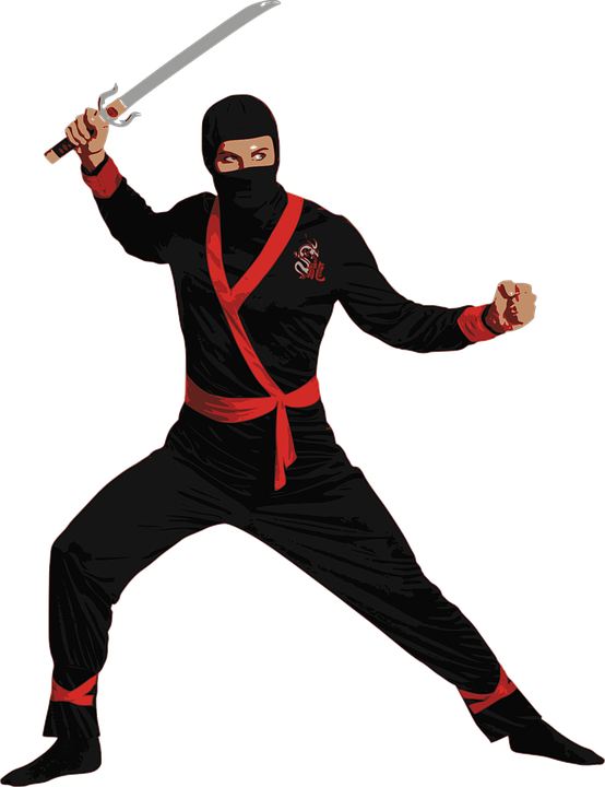 Ninja Transparant Beelds