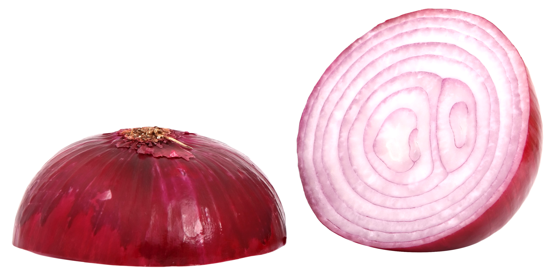 Onion Download PNG Image