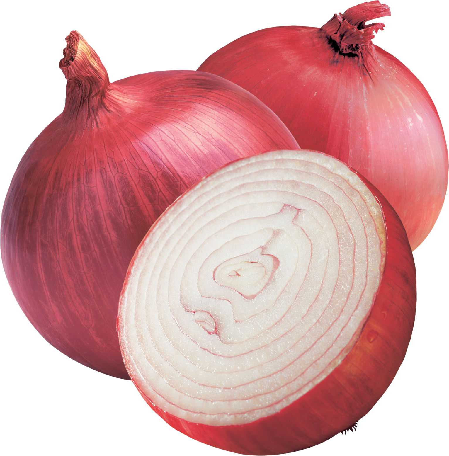 Onion PNG Background Image