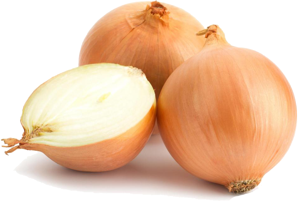 Onion PNG High-Quality Image