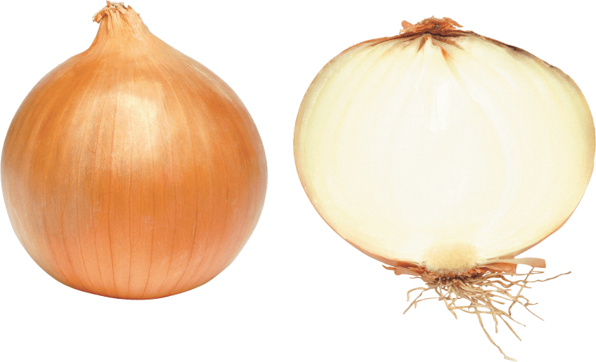 Onion Transparent Images