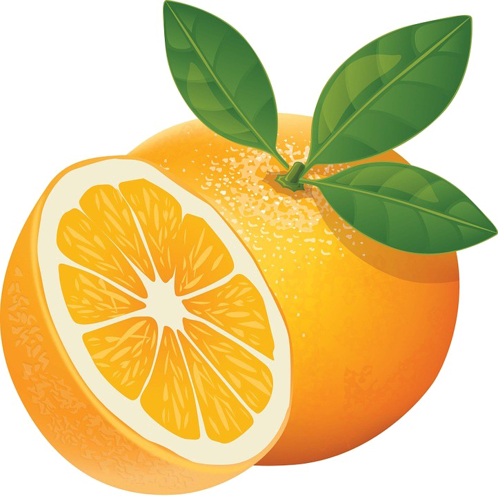 Imagem de alta qualidade da fatia laranja PNG