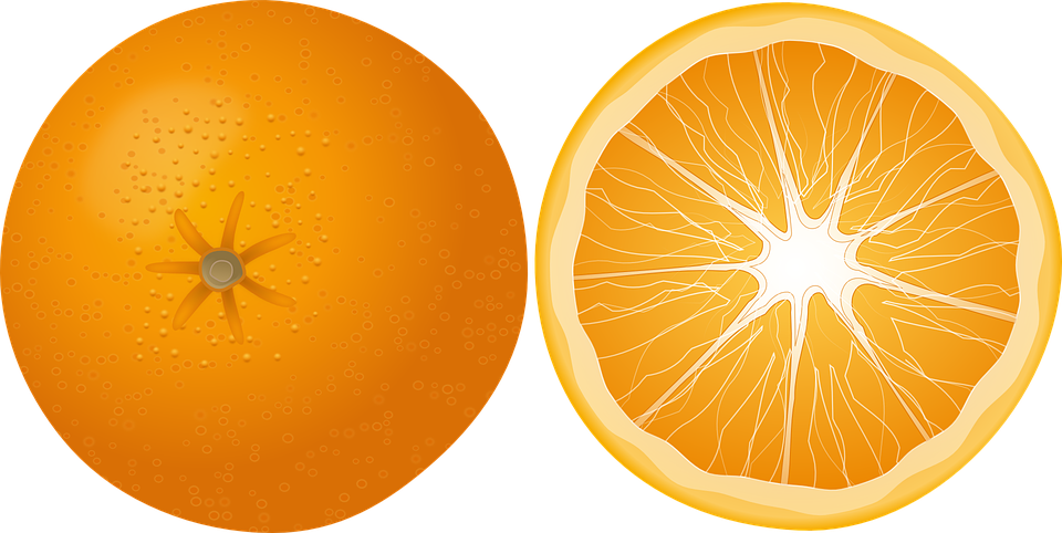 오렌지 투명 이미지