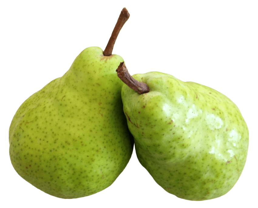 Pear Download PNG Image