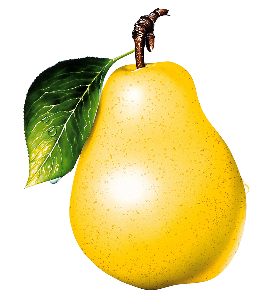 Pear Free PNG Image