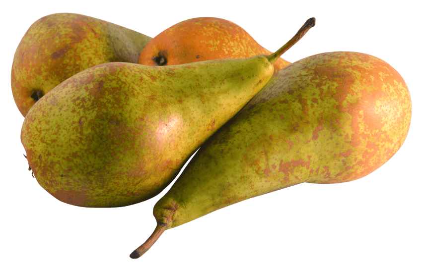 Pear PNG Picture