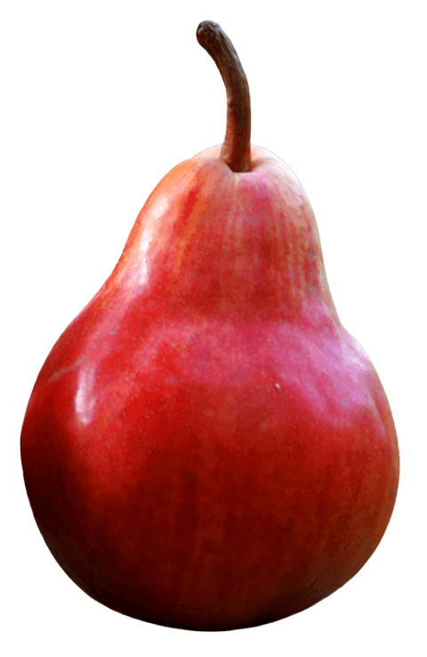 Pear Transparent