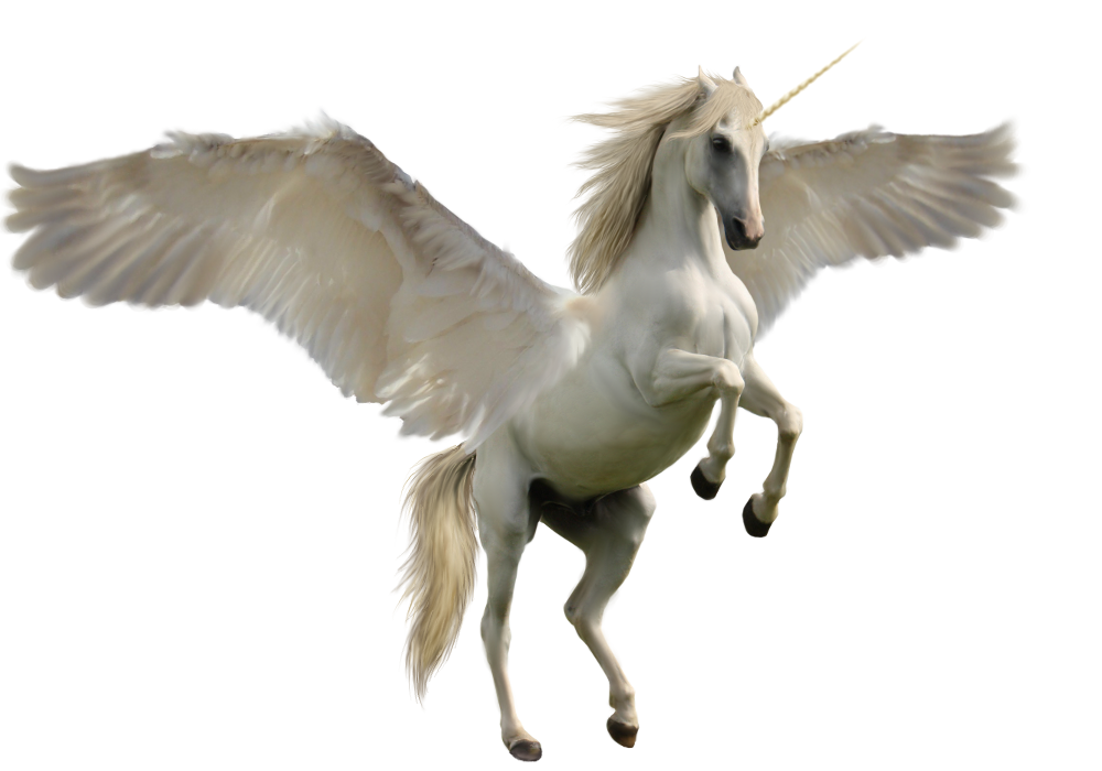 Pegasus PNG Image with Transparent Background