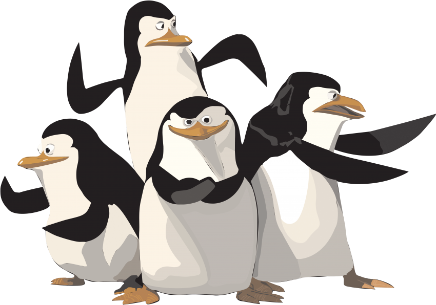 Pinguine von Madagaskar Transparentes Bild