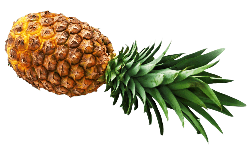 Pineapple PNG تحميل مجاني