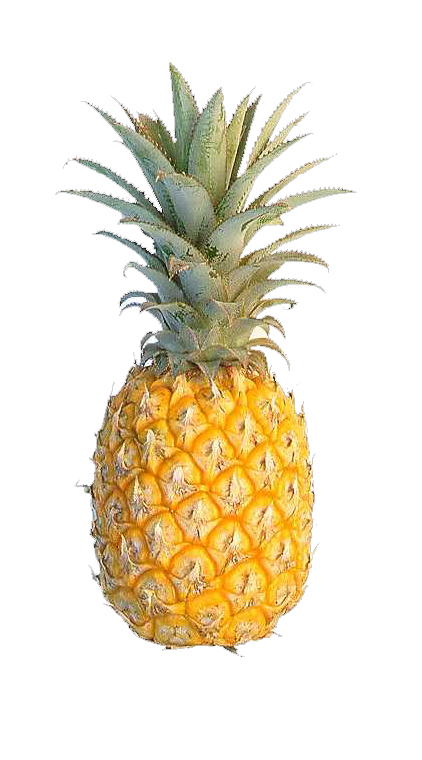 Pineapple PNG Foto