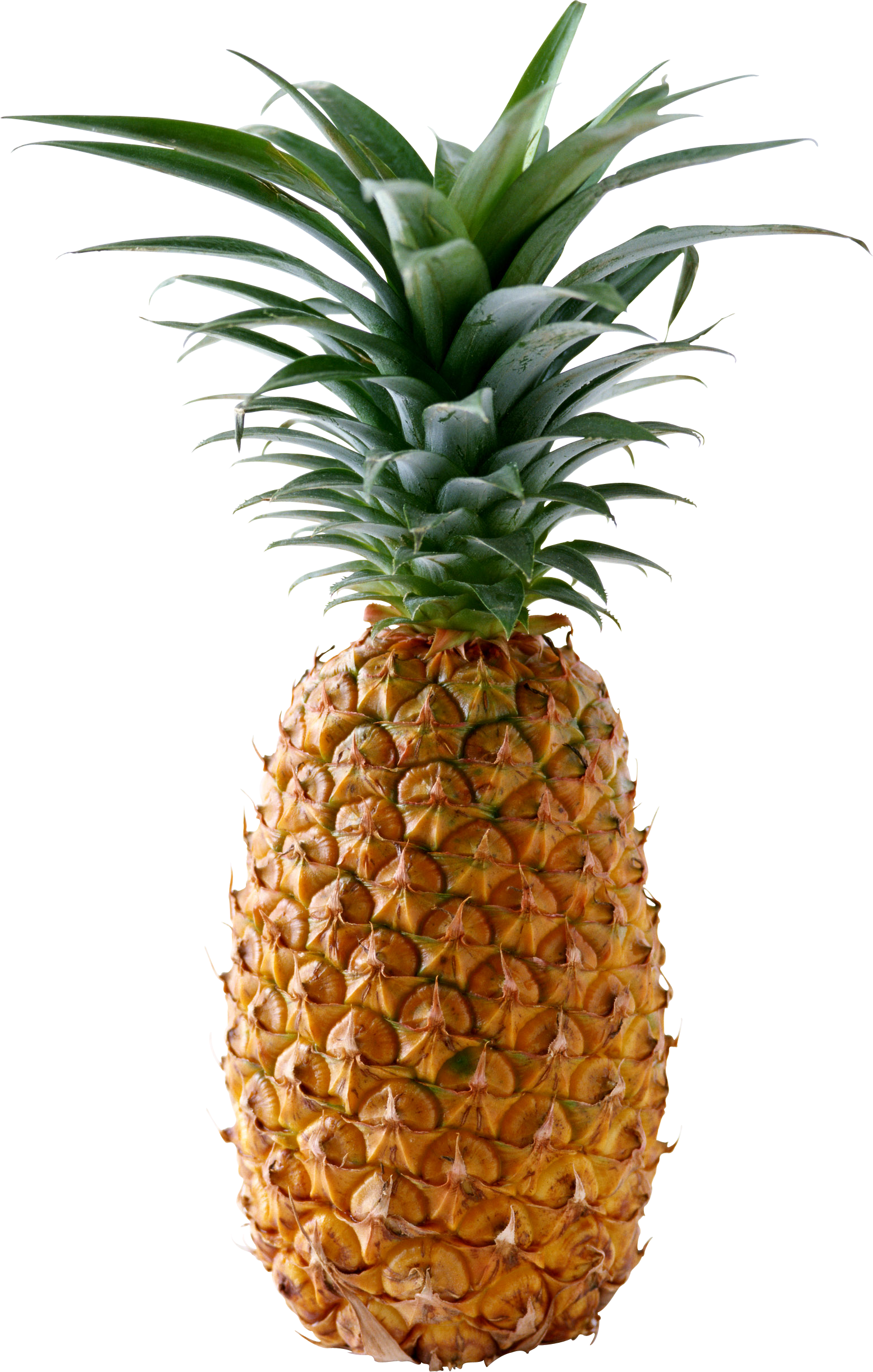 Ananas PNG Transparant Beeld