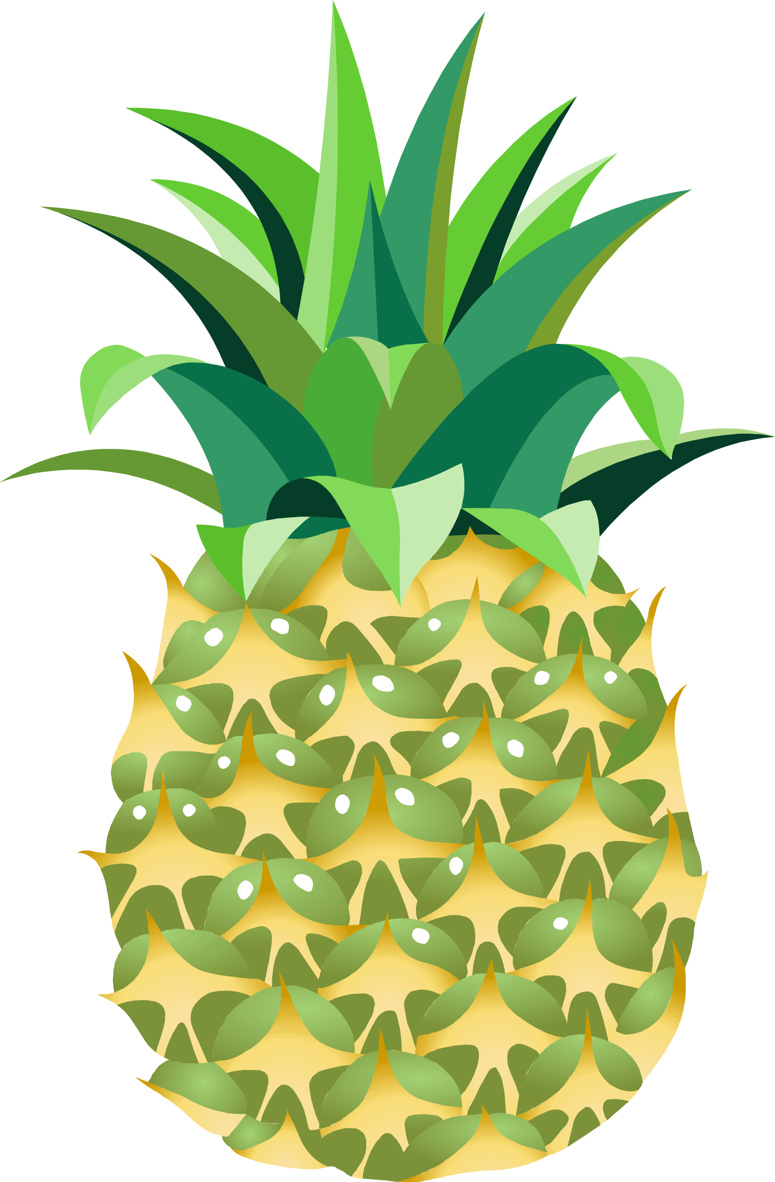 Ananas Transparante Afbeeldingen