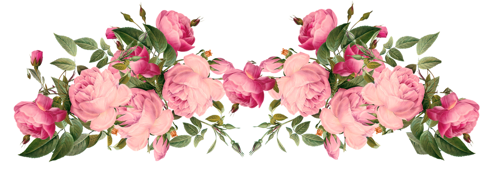 Pink Flowers PNG Baixar Imagem