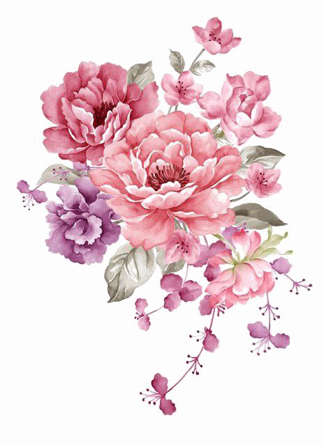 Pink Flowers PNG High-Quality Image
