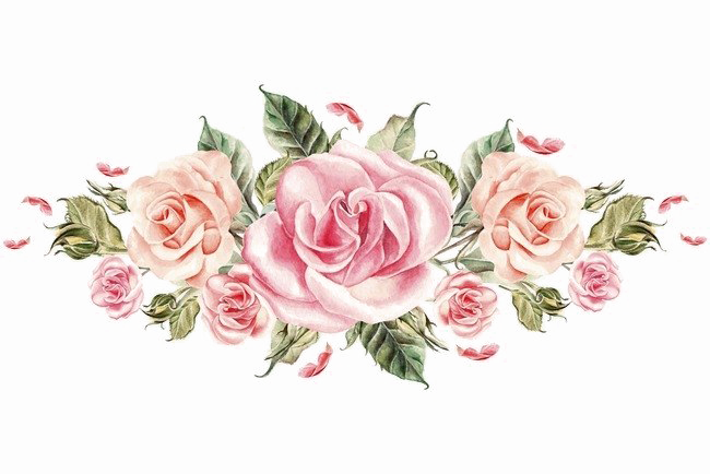 Rosa flores PNG imagem
