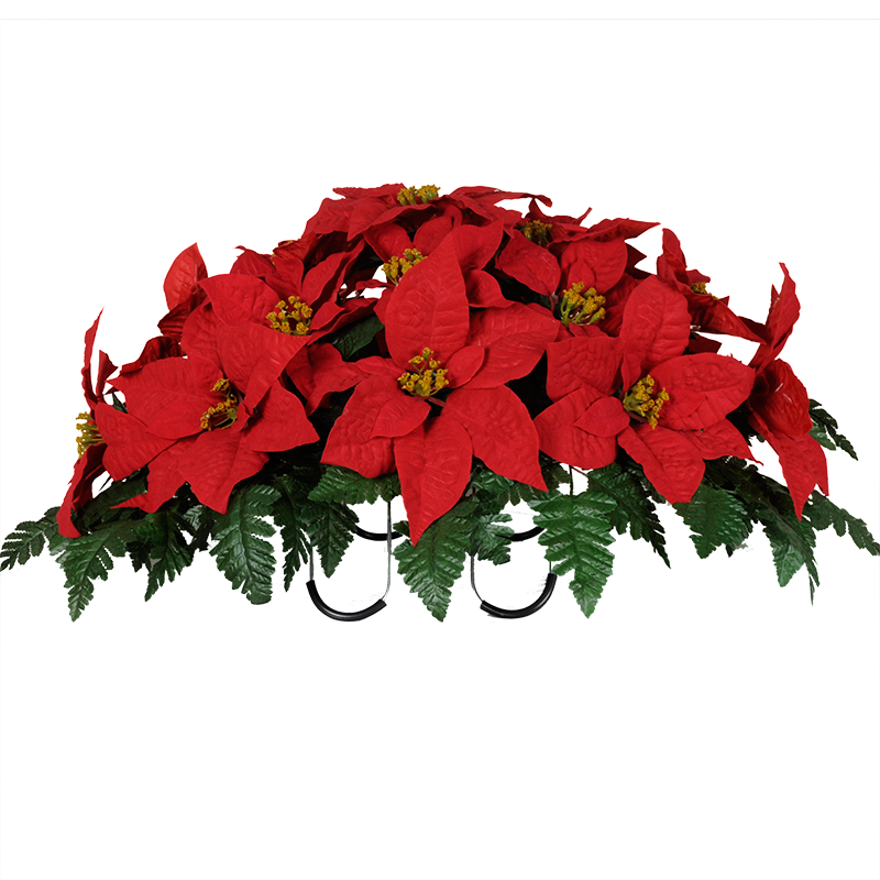 Poinsettia Download PNG Image