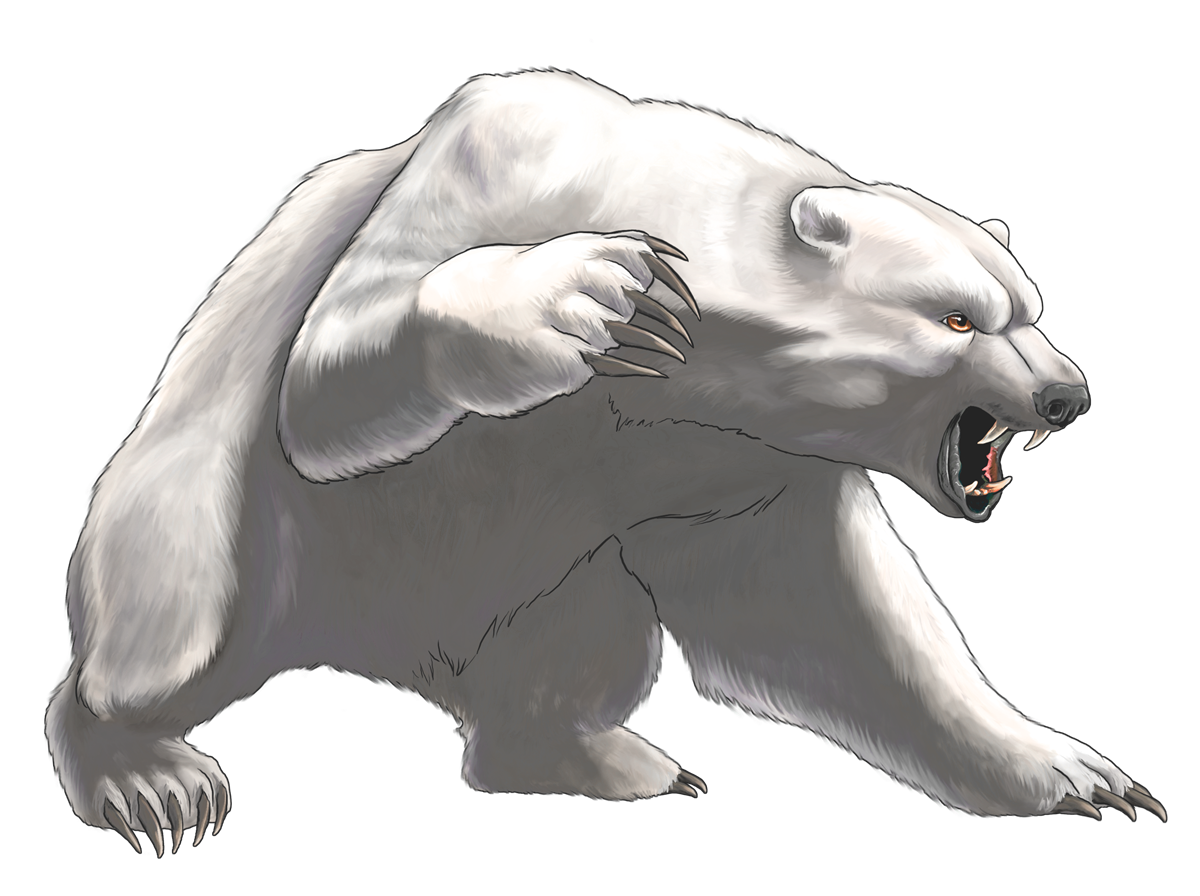 Polar Bear PNG Image Background