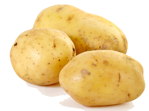 Potato PNG صورة عالية الجودة