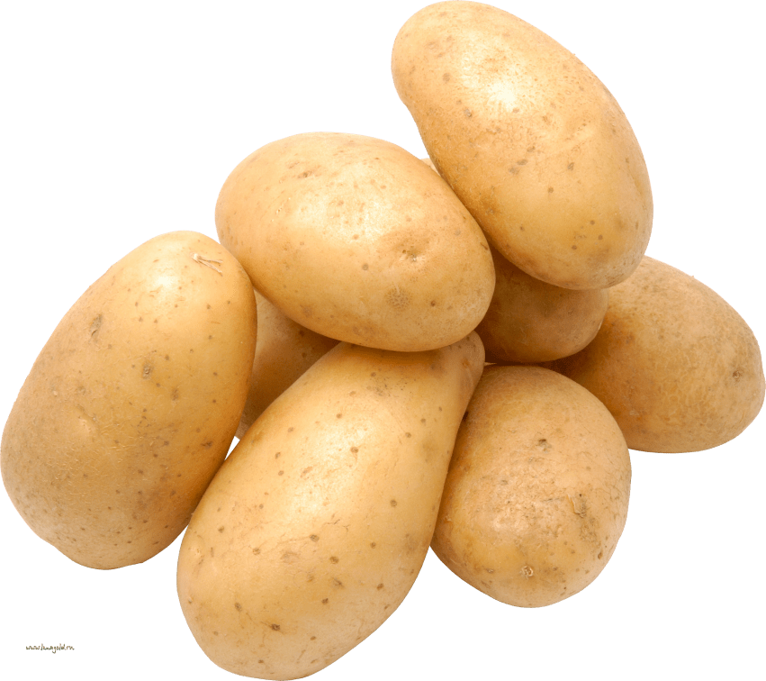 Image PNG de pomme de terre