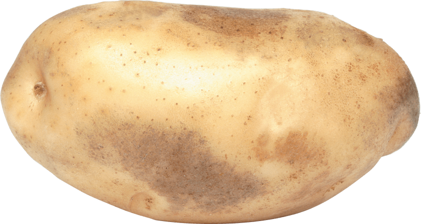 Image Transparente de la pomme de terre