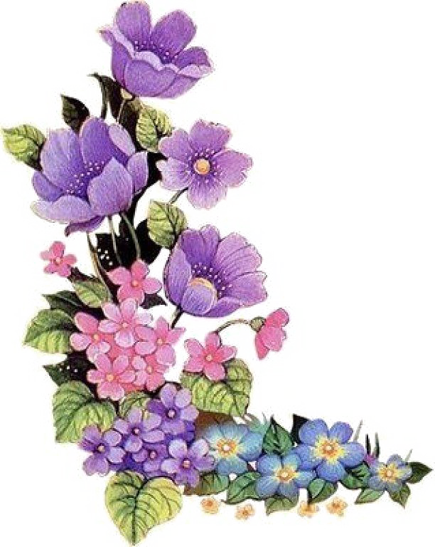 Ungu Border Floral PNG Gambar