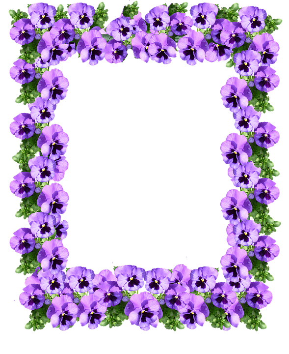 Purple Floral Border PNG Pic