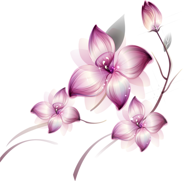 Imagem transparente de PNG de borda floral roxa