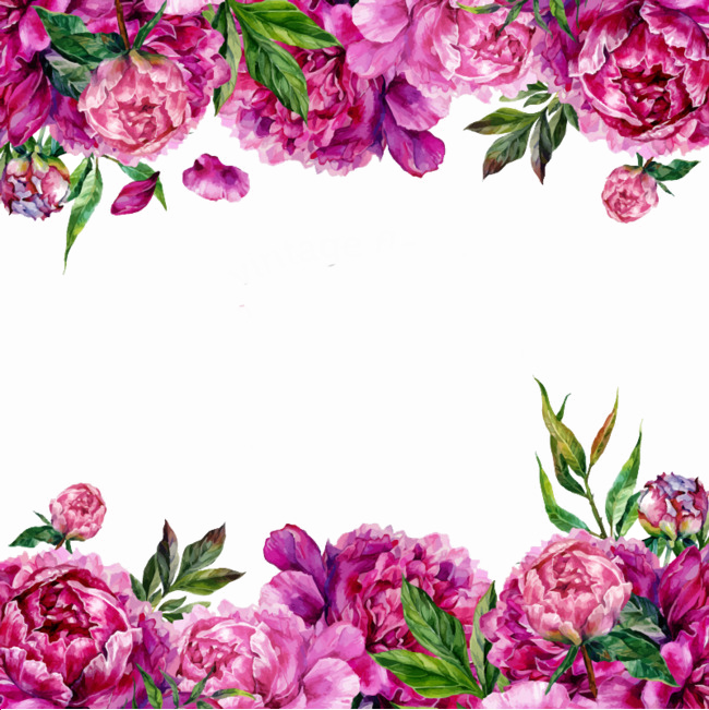 Image Transparente de bordure florale violette