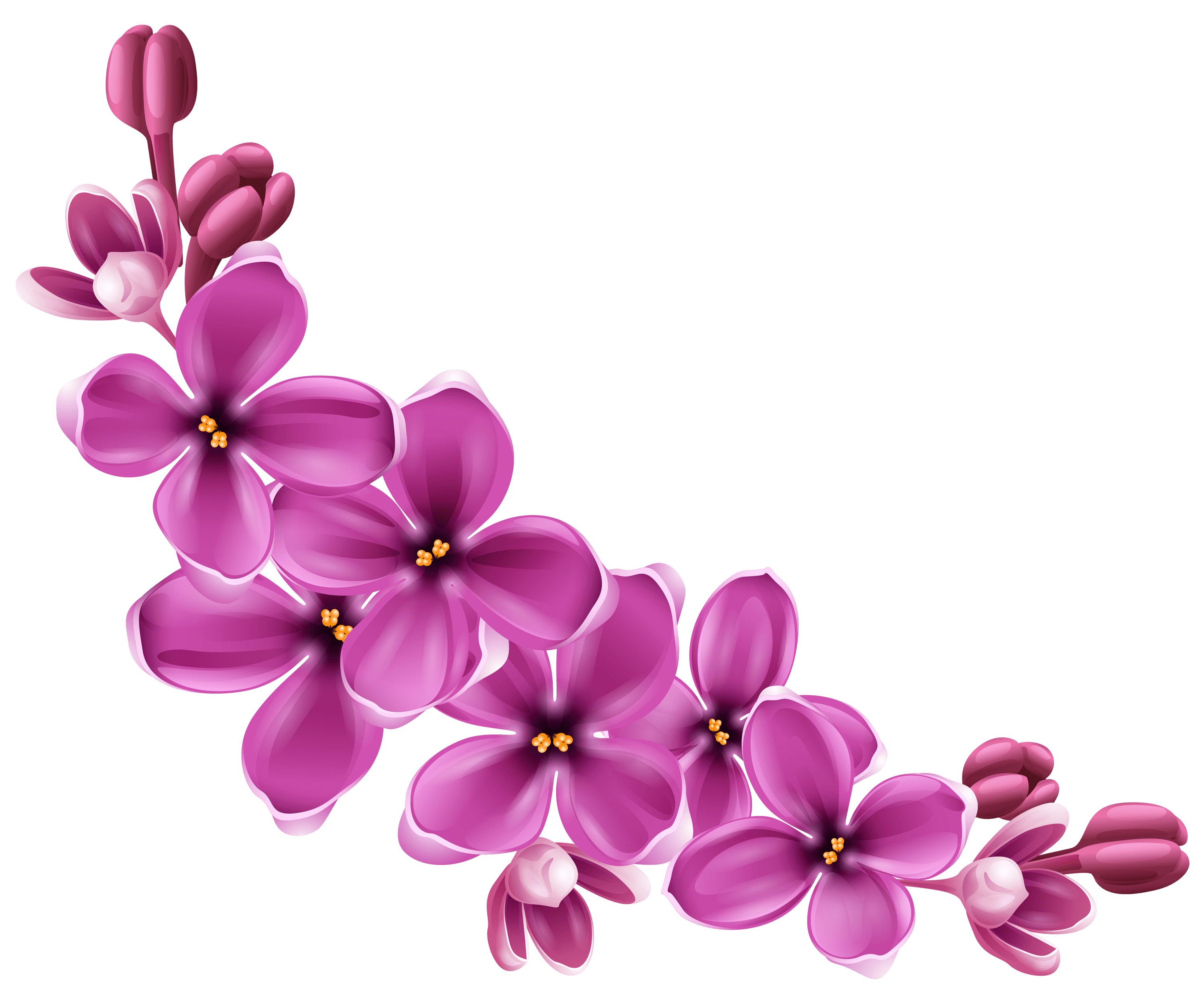 Imagem roxa de PNG de flores